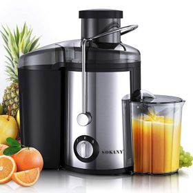 Juicer Multifunctional Separate Stainless Steel (Option: Silver-EU)